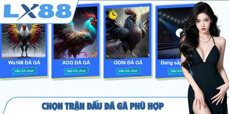 Đá Gà LX88 - Cá Cược Chọi Kê Trực Tuyến Uy Tín, Chất Lượng - MUNORI