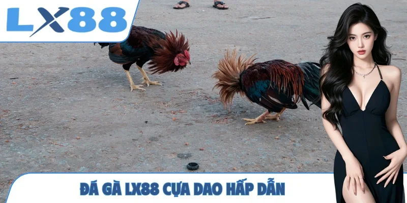 Đá Gà LX88 - Cá Cược Chọi Kê Trực Tuyến Uy Tín, Chất Lượng - MUNORI