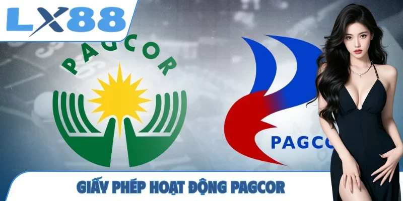 Giấy Phép Hoạt Động - Khẳng Định Uy Tín, Pháp Lý Vượt Trội - MUNORI