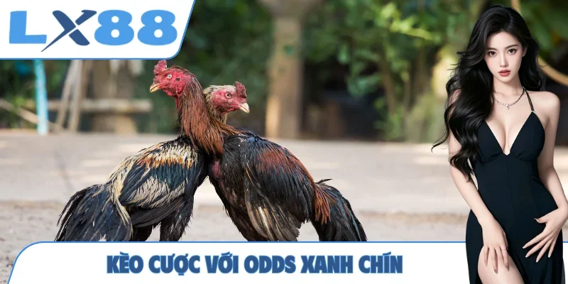 Đá Gà LX88 - Cá Cược Chọi Kê Trực Tuyến Uy Tín, Chất Lượng - MUNORI