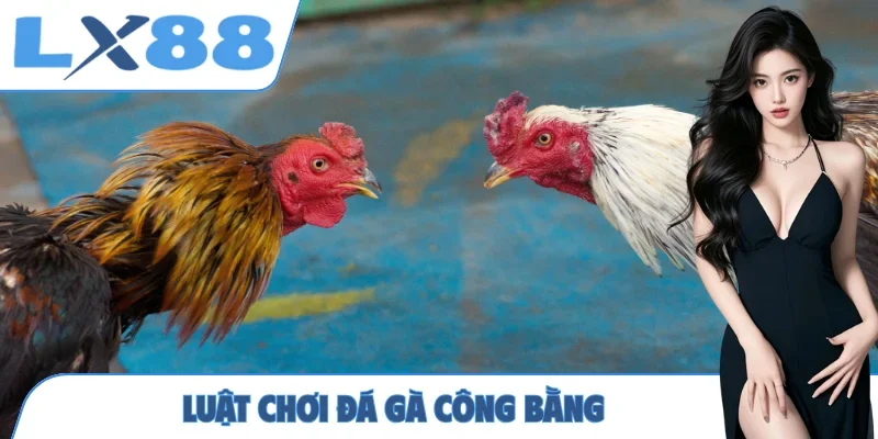 Đá Gà LX88 - Cá Cược Chọi Kê Trực Tuyến Uy Tín, Chất Lượng - MUNORI